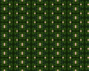 Similar image 1406451