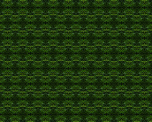 Similar image 1406459