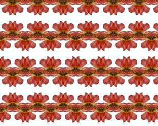 Similar image 1406469