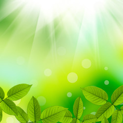 Similar image 1407282