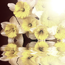 Similar image 1407403