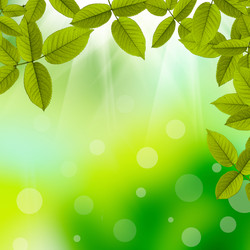 Similar image 1407406