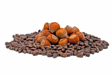 Similar image 1407413