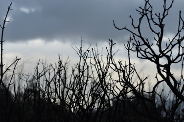 Similar image 1407512