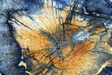 Similar image 1407628