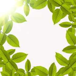 Similar image 1407629