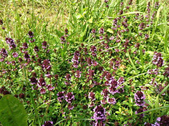 Similar image 1407642