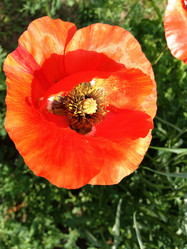 Similar image 1407643