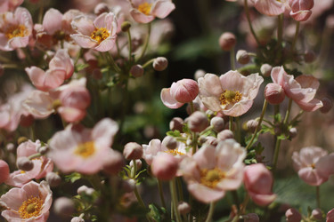 Similar image 1407646