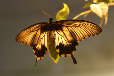 Similar image 1407647