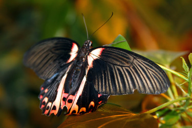 Similar image 1407663