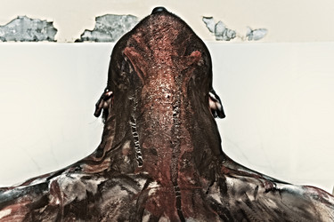 Similar image 1407669