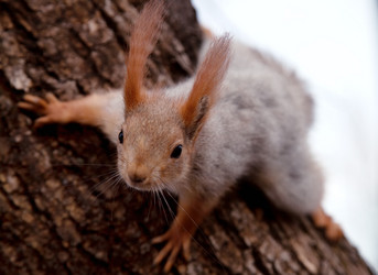 Similar image 1407677