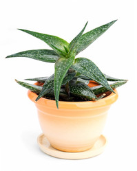 Similar image 1407750