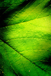 Similar image 1407803