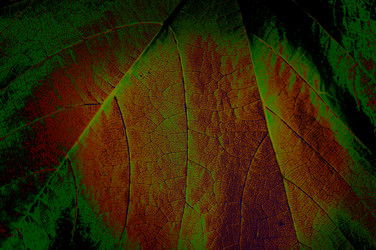 Similar image 1407805