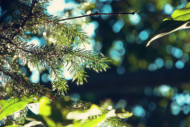 Similar image 1407838