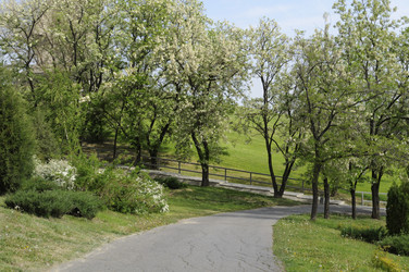 Similar image 1407866