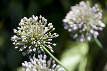 Similar image 1407995