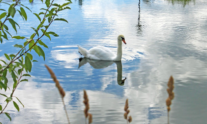 Similar image 1408003