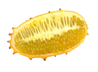 Similar image 1408026