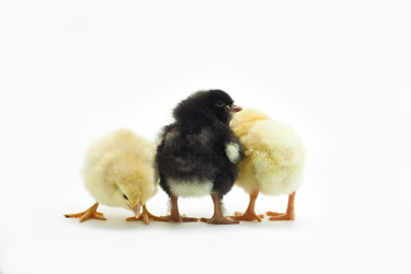 Similar image 1408039