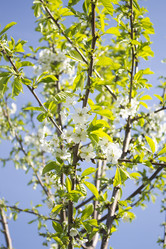 Similar image 1408051