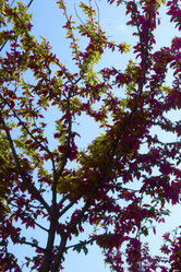 Similar image 1408056