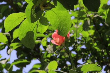 Similar image 1408059