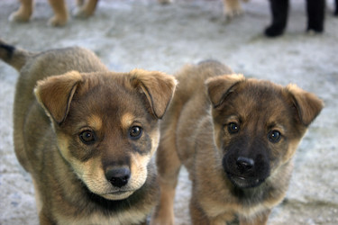 Similar image 1408061