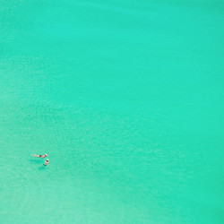 Similar image 1408067