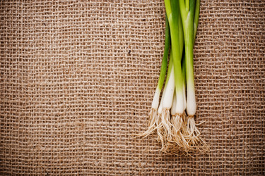 Similar image 1408069