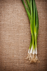 Similar image 1408072