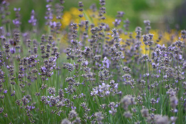 Similar image 1408073