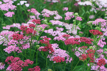 Similar image 1408077