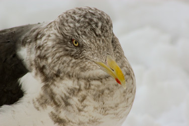 Similar image 1408082