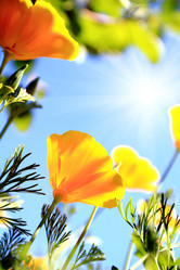 Similar image 1408095