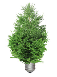 Similar image 1408097