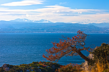 Similar image 1408118