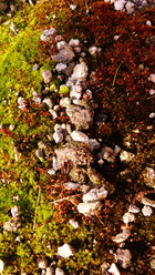 Similar image 1408137