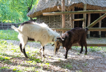 Similar image 1408193