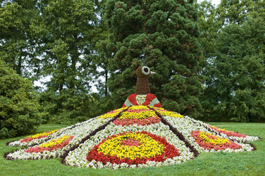 Similar image 1408220