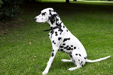 Similar image 1408222