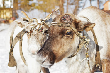 Similar image 1408330