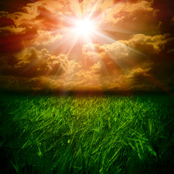 Similar image 1408344