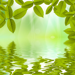 Similar image 1408349