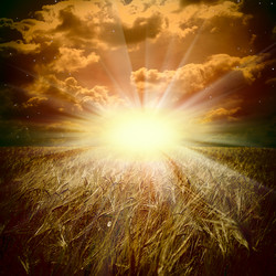 Similar image 1408363