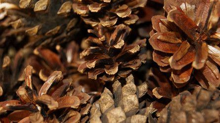 Similar image 1408411