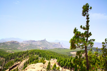 Similar image 1408428