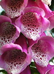 Similar image 1408430